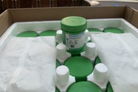 Alpha焊锡膏OM-340